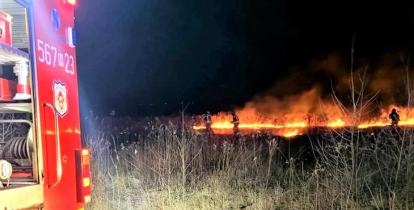 Jeden strażak ubrany w strój bojowy dogasza pożar traw i łąk. 